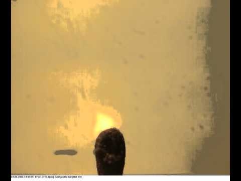 (고속카메라) 생태&실험 분야 <성냥 점화 촬영 -EoSens Cube2 500fps>