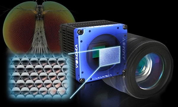  3D Light Field Solution